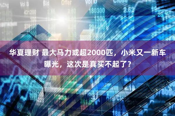 华夏理财 最大马力或超2000匹，小米又一新车曝光，这次是真买不起了？