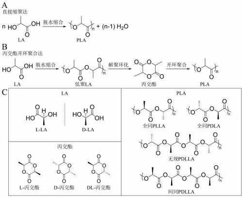 丁建勋 李鸿杰 杨佳臻 中国科学院长春应用化学研究所 新时代生物质降解材料聚乳酸,助力绿色环保的 未来之钥 作品展示