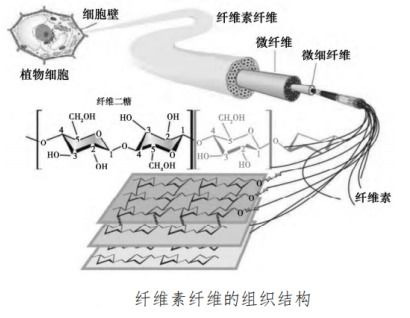 生物基绿色环保阻燃剂的研究进展